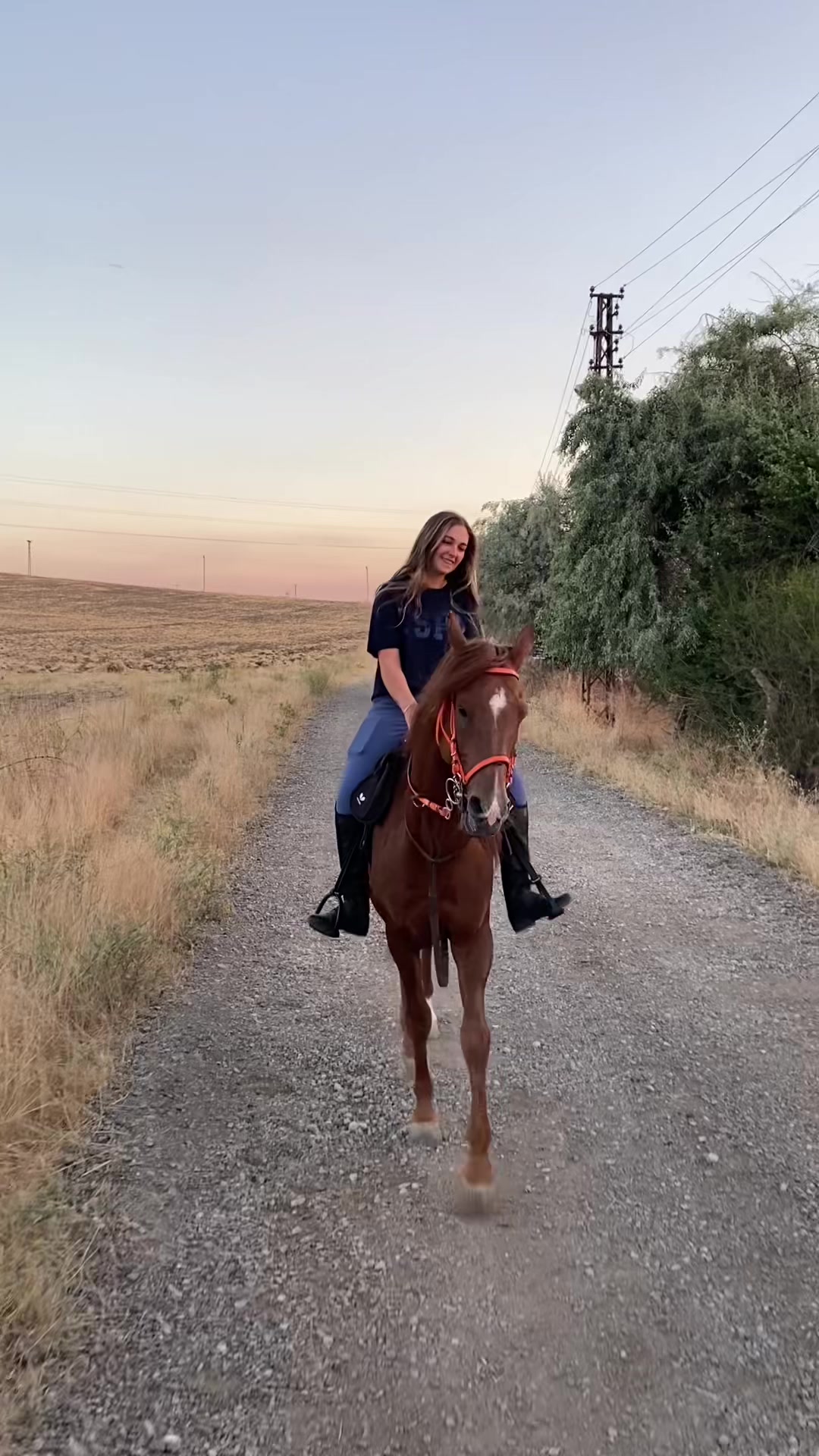 @esra.guzelark