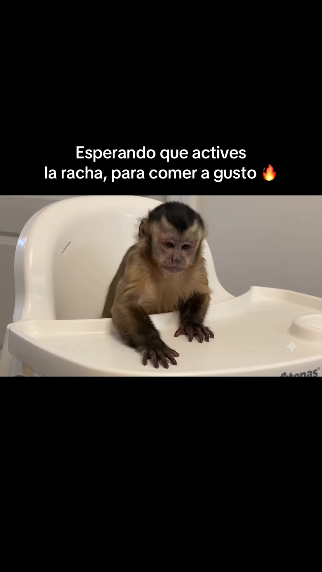 @RabPesito 🔥