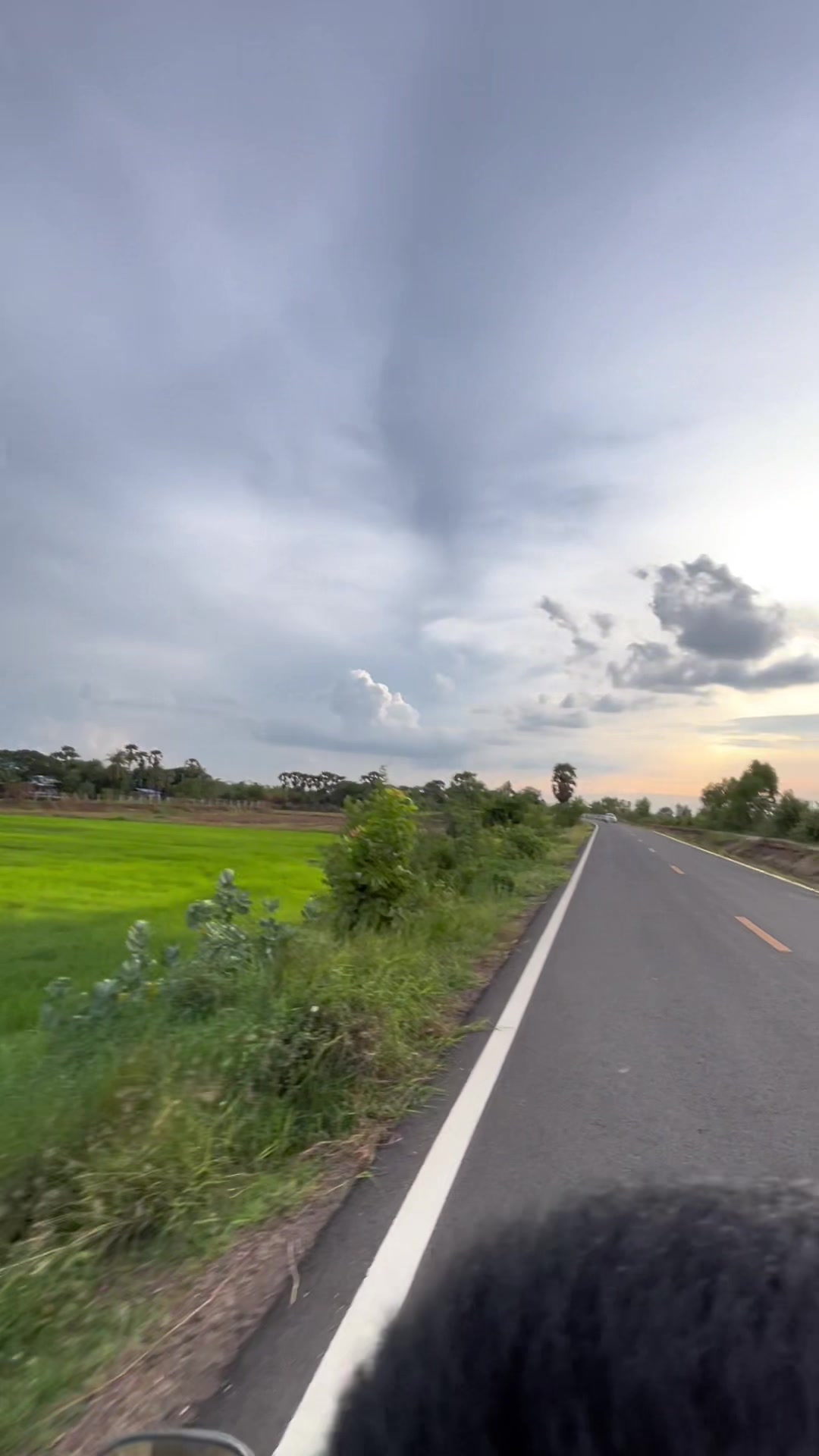 @น้องฮิปโปมรกต