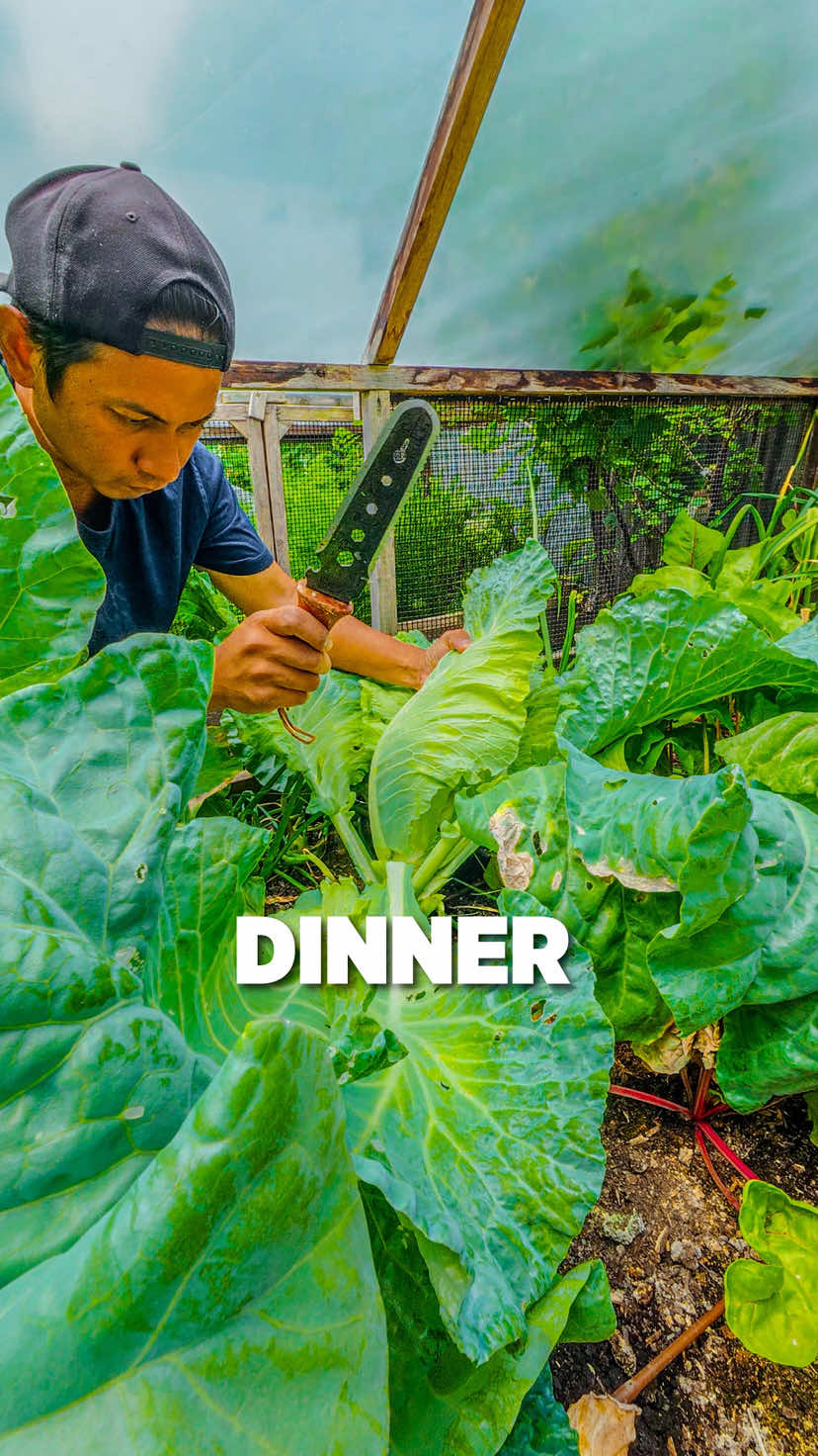 @Planted in the Garden