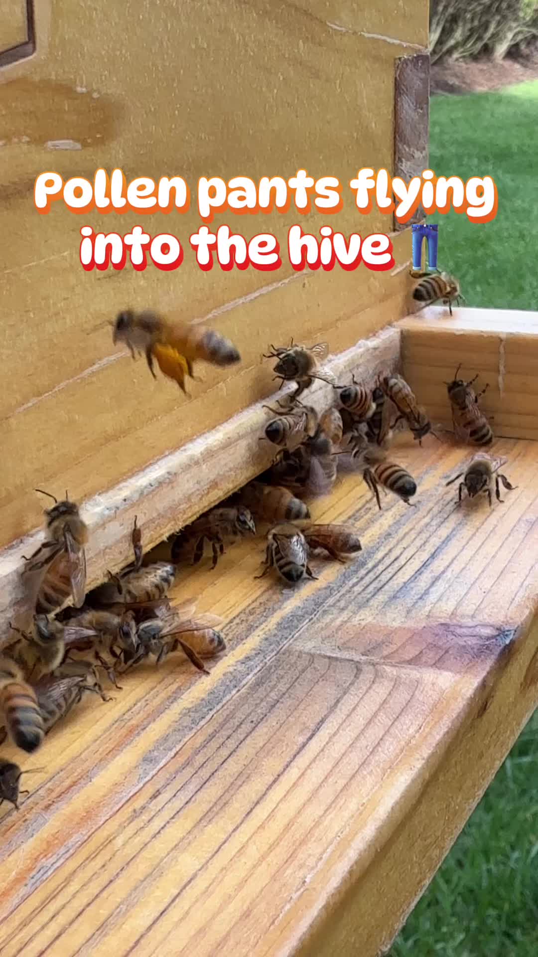 @homewithlogan