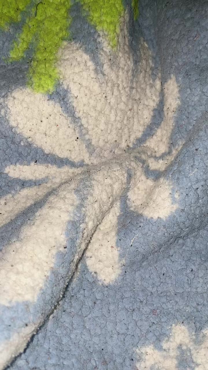 @Denisse Cambr&oacute;n