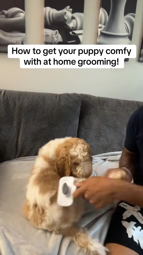 @AJ
