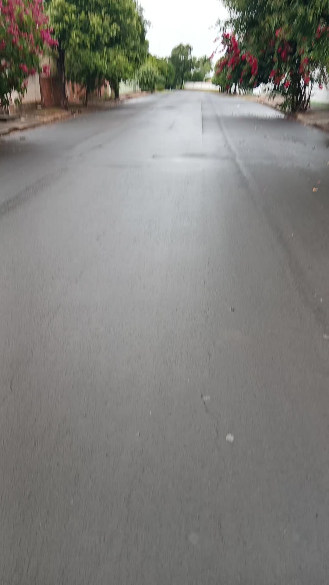 @NeideRodeigues315