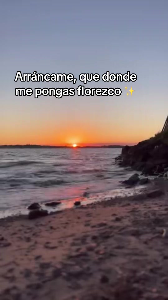 @Lau ❤️&zwj;🔥