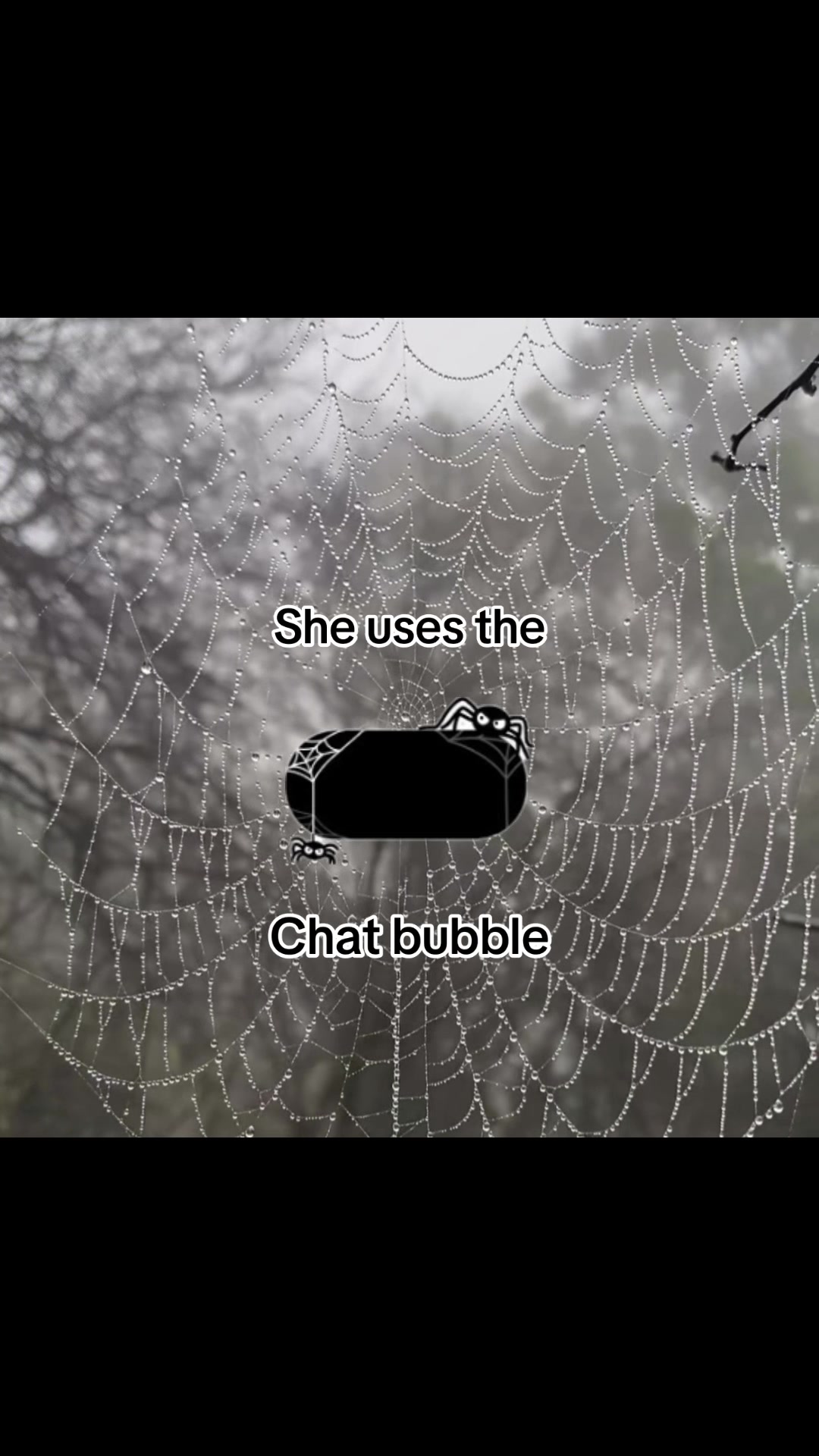 @ᗩᘻᗩᖻᗩ✰𖤐