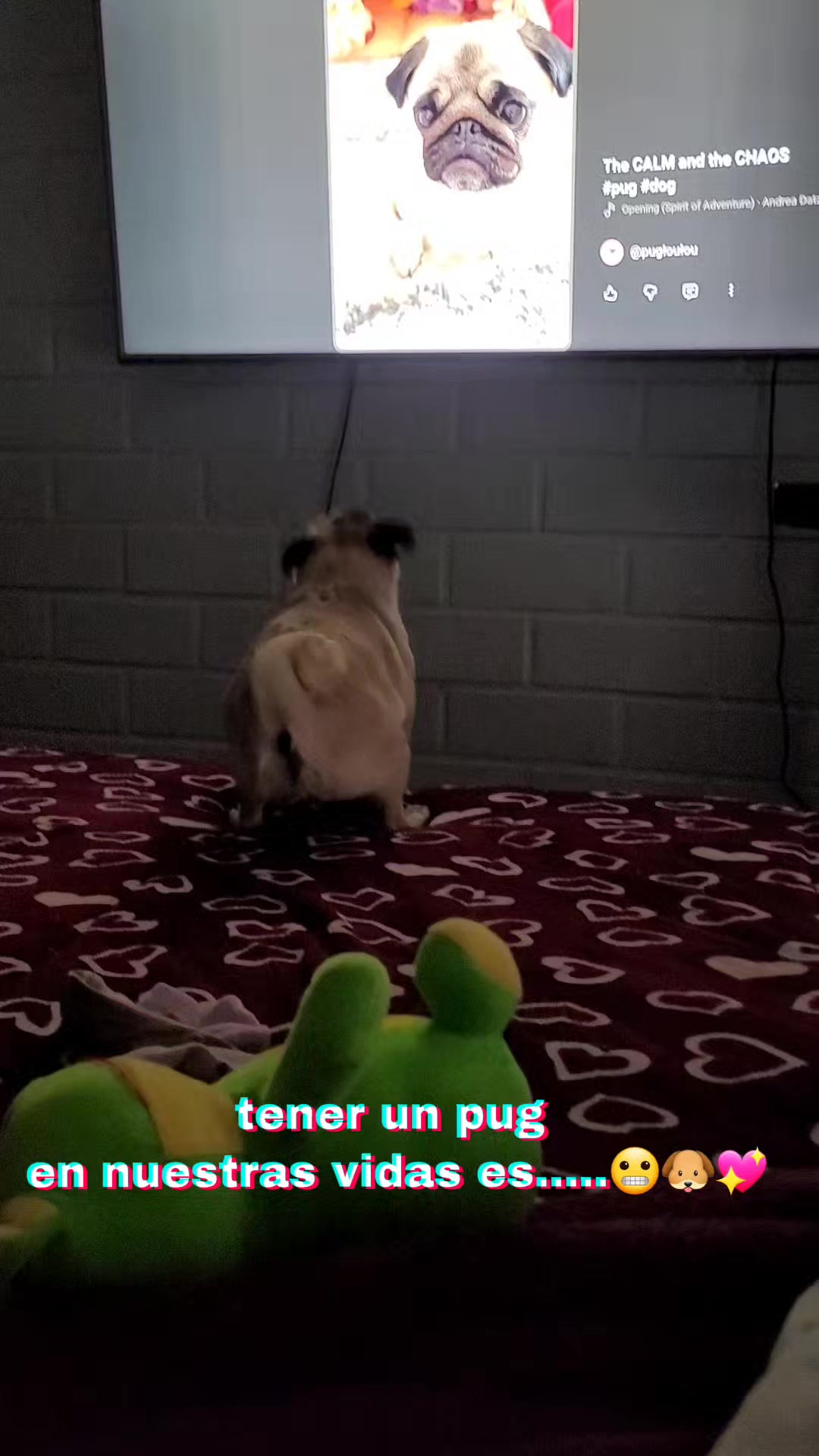 @melizabeth