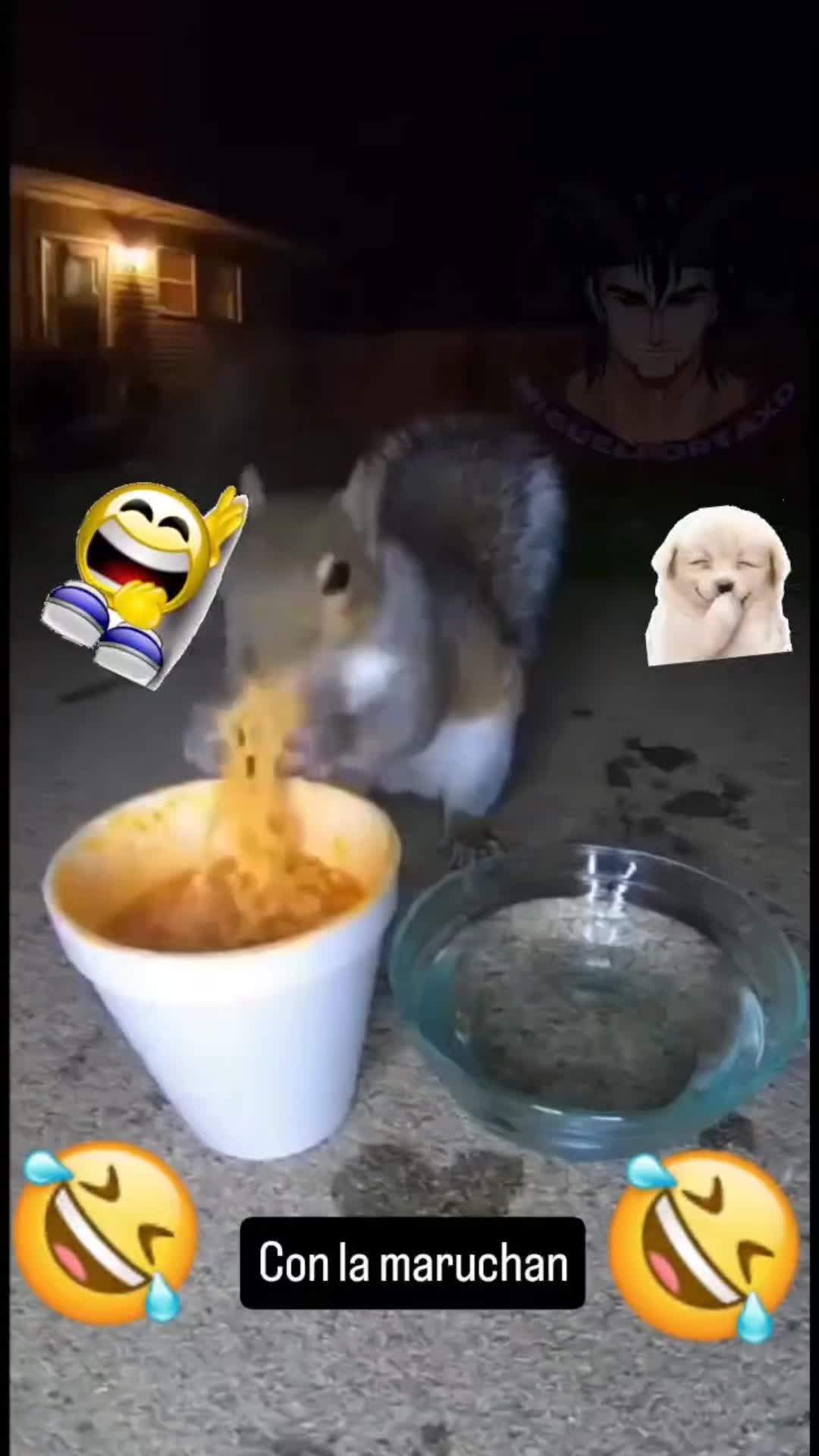 @🌕💫iTs𝐶uRLeeY🌖🧘♀️