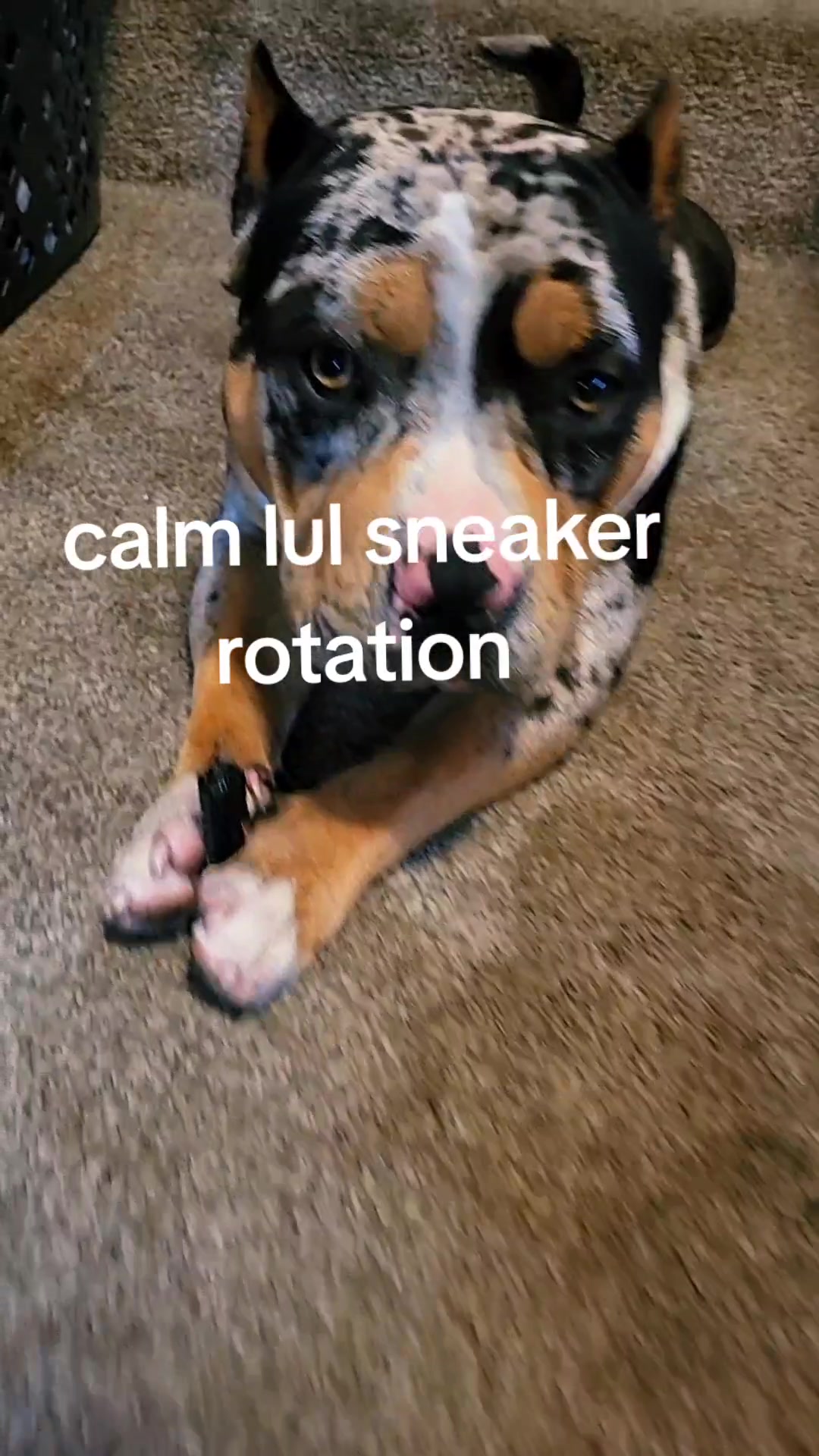 @eonas1k