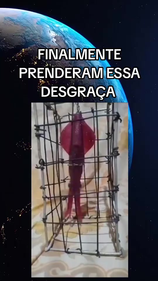 @jaisson Padilha dos Santos