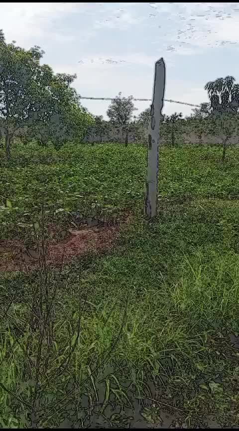 @Uedmateus | Advogado
