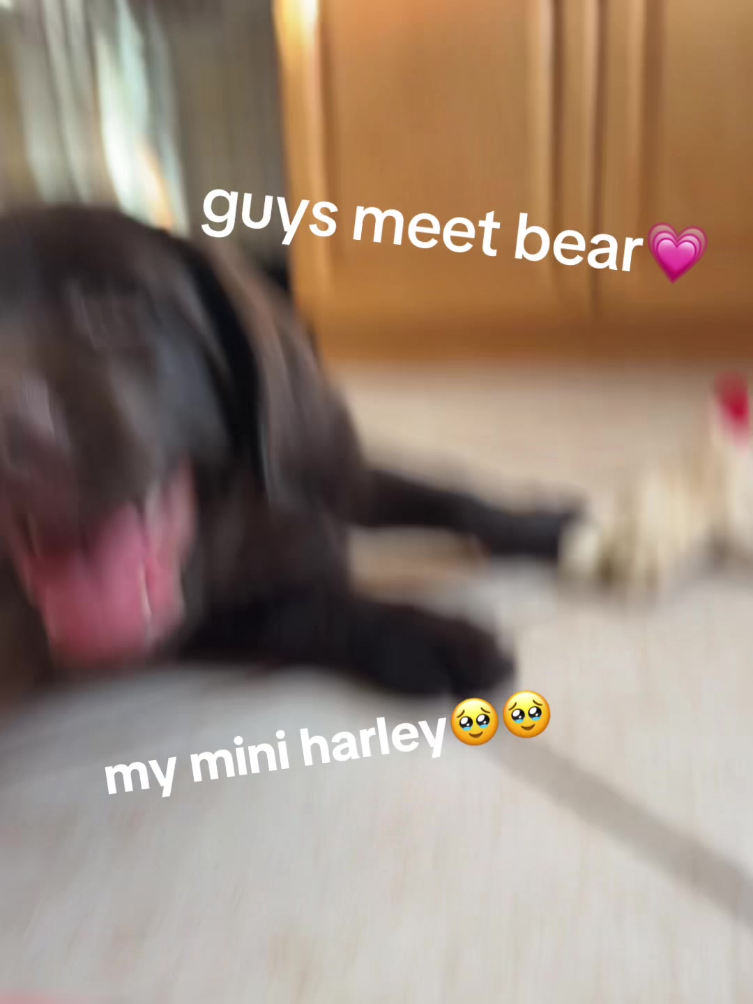 @jenna!!