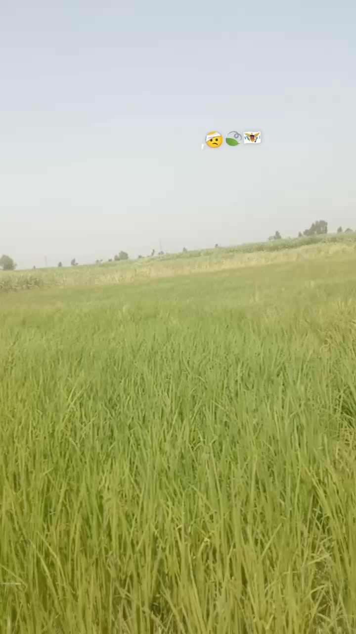 @asad bhakal بھ۔کل