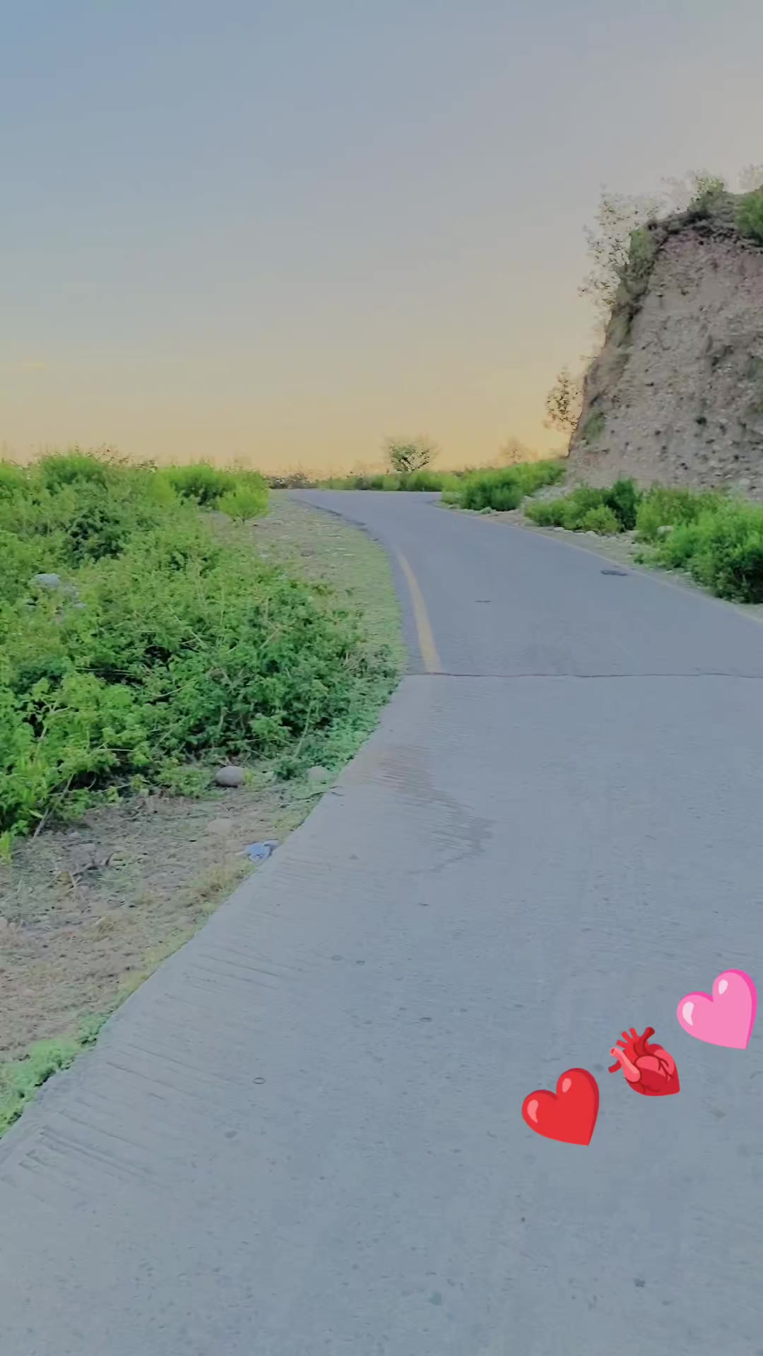 @N JAN 🩷🦅❤️