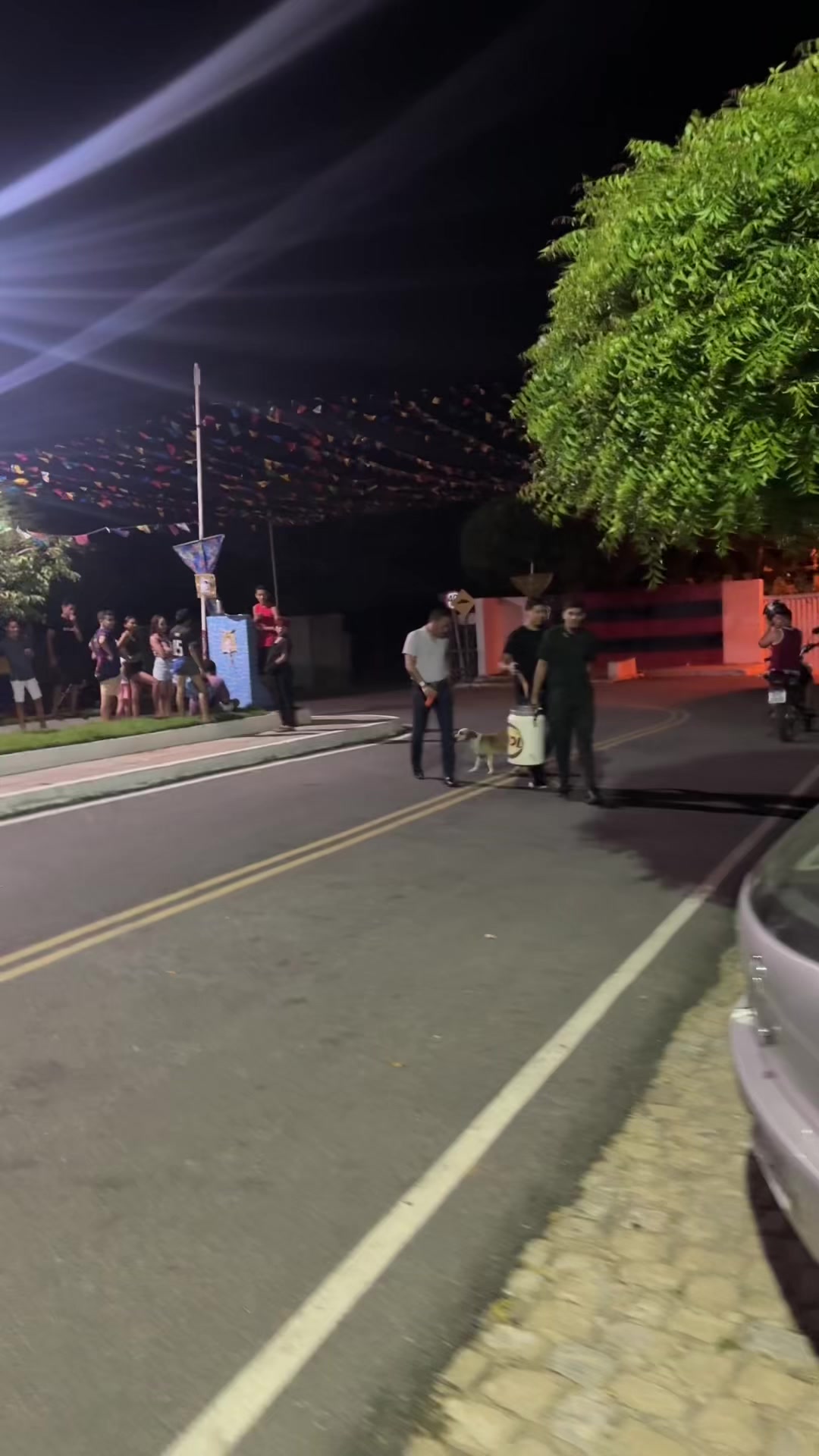 @Tardelli Pires