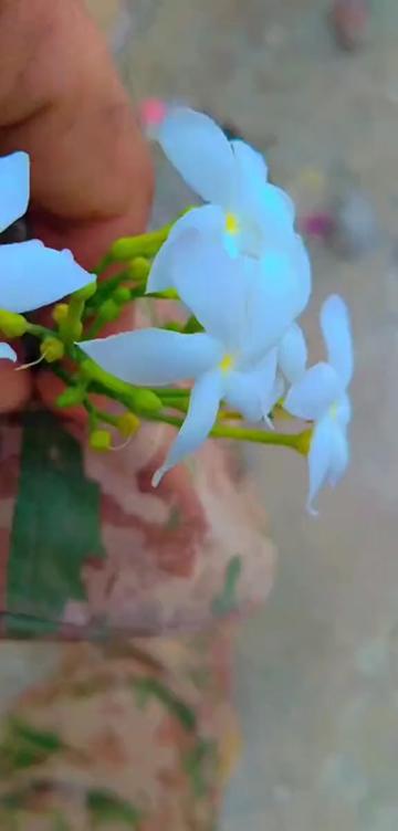 @💔🥀 انجان فوجی ۔🥀💔
