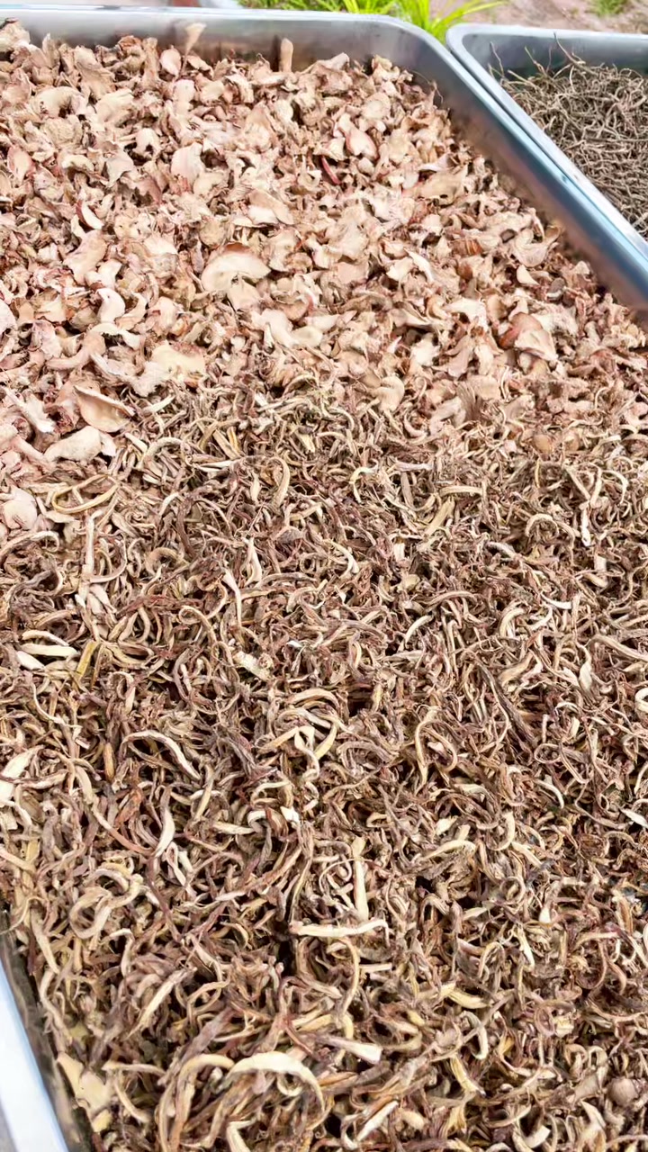 @តា បេ ស្ដេច តែសុខភាព❤️🇰🇭
