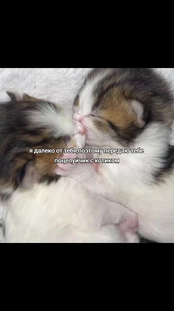 @bat
