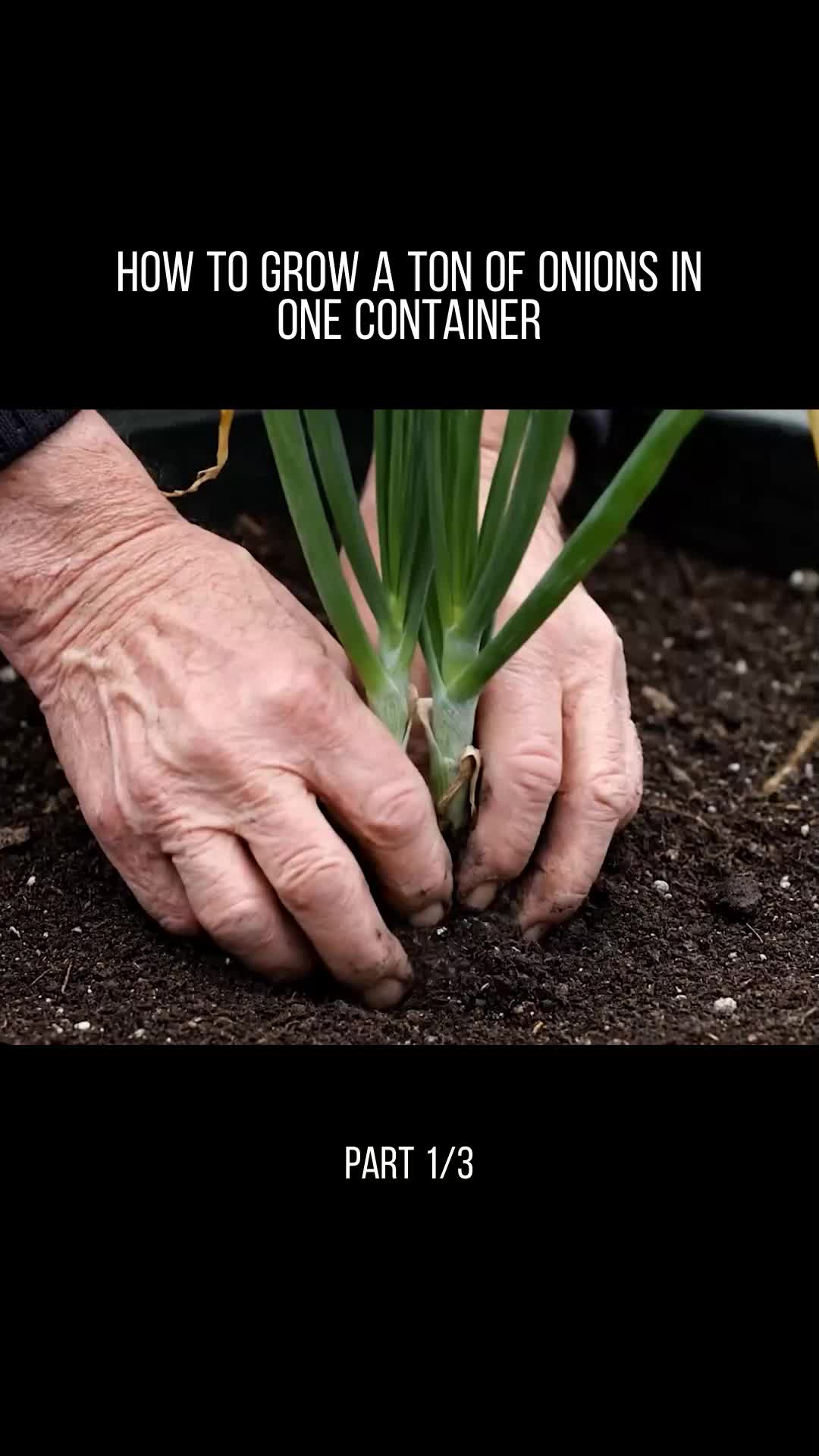 @user32331650853717