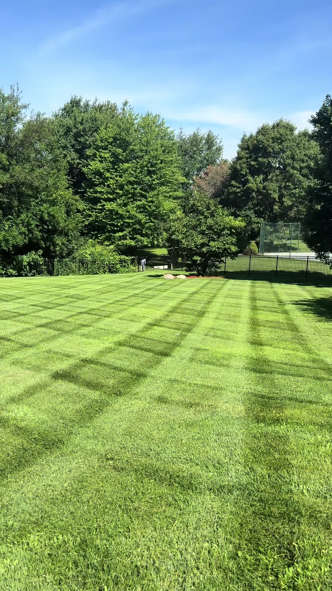 @👑KJ3000👑
