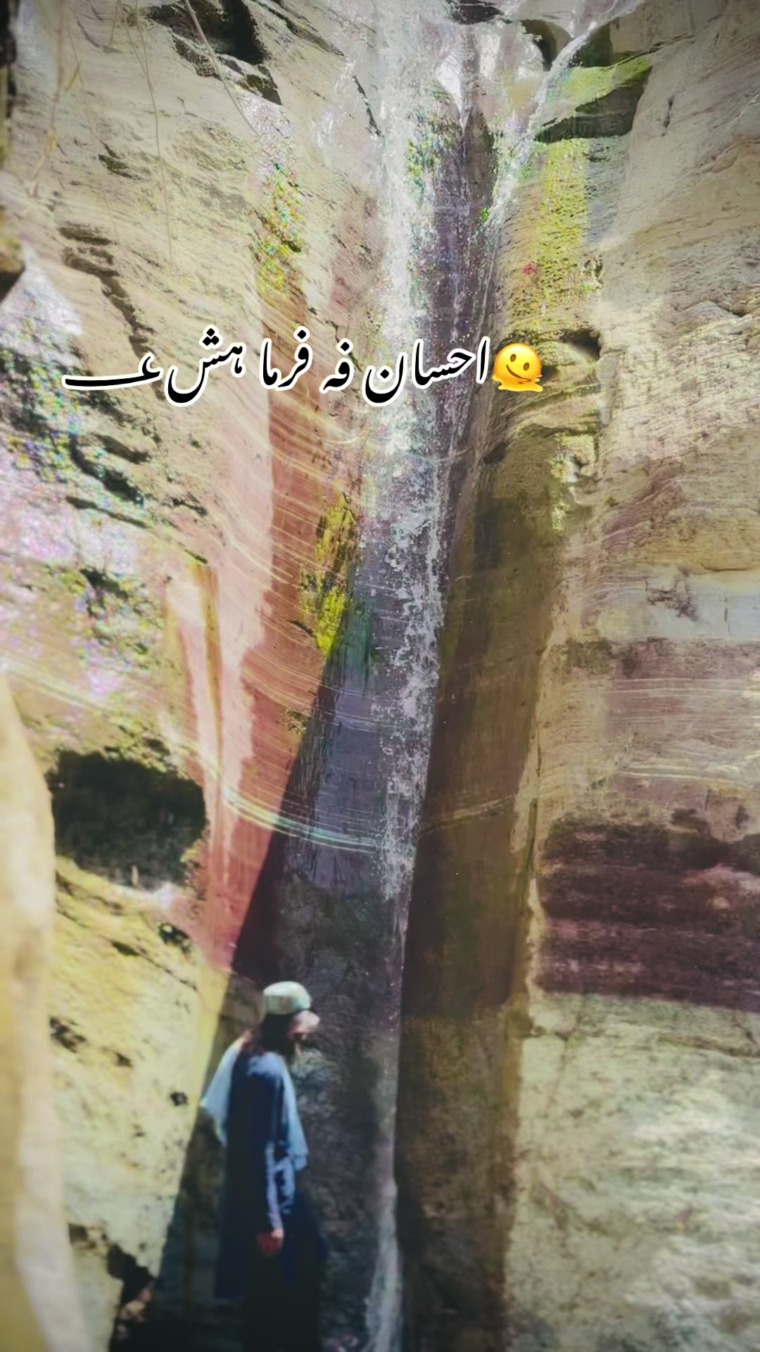@ساحل جگنو
