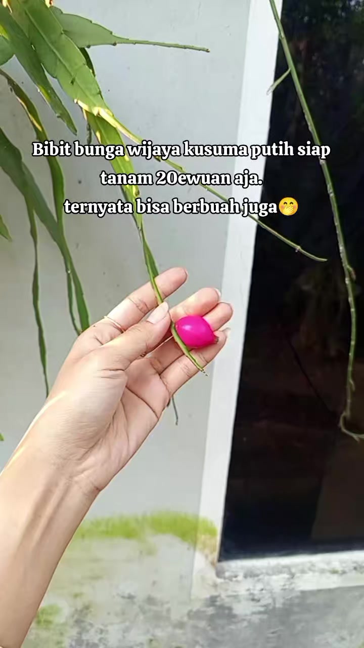 @eka