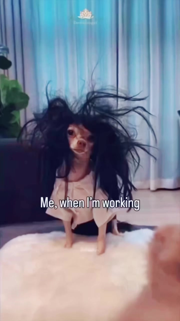 @Dr Mai Elshafey