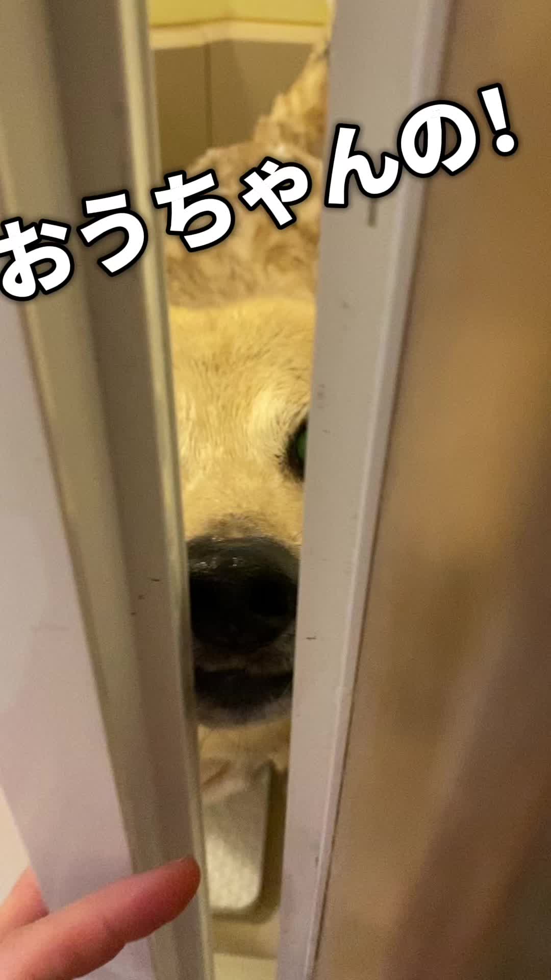@てる