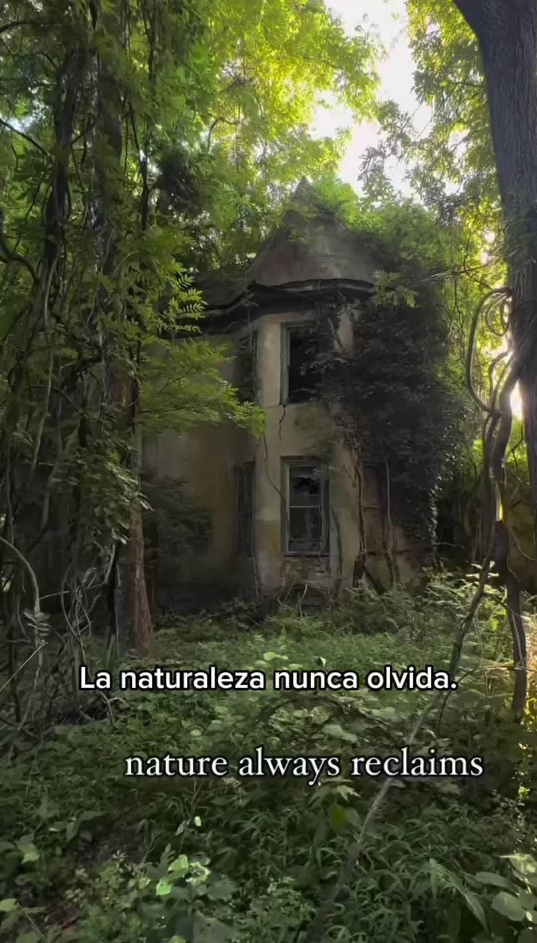 @Mundo oculto