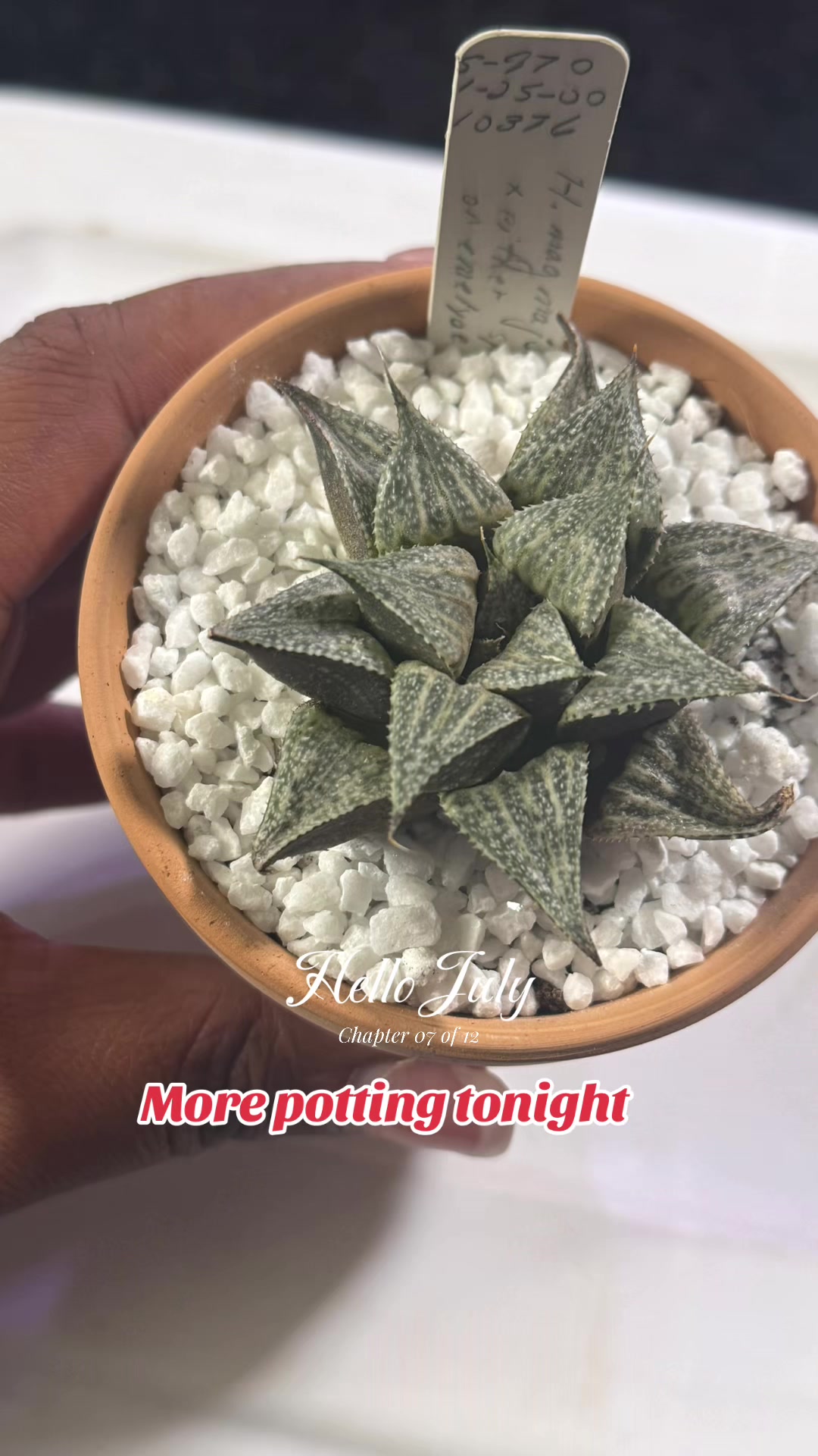 @Strawberry_Plantz