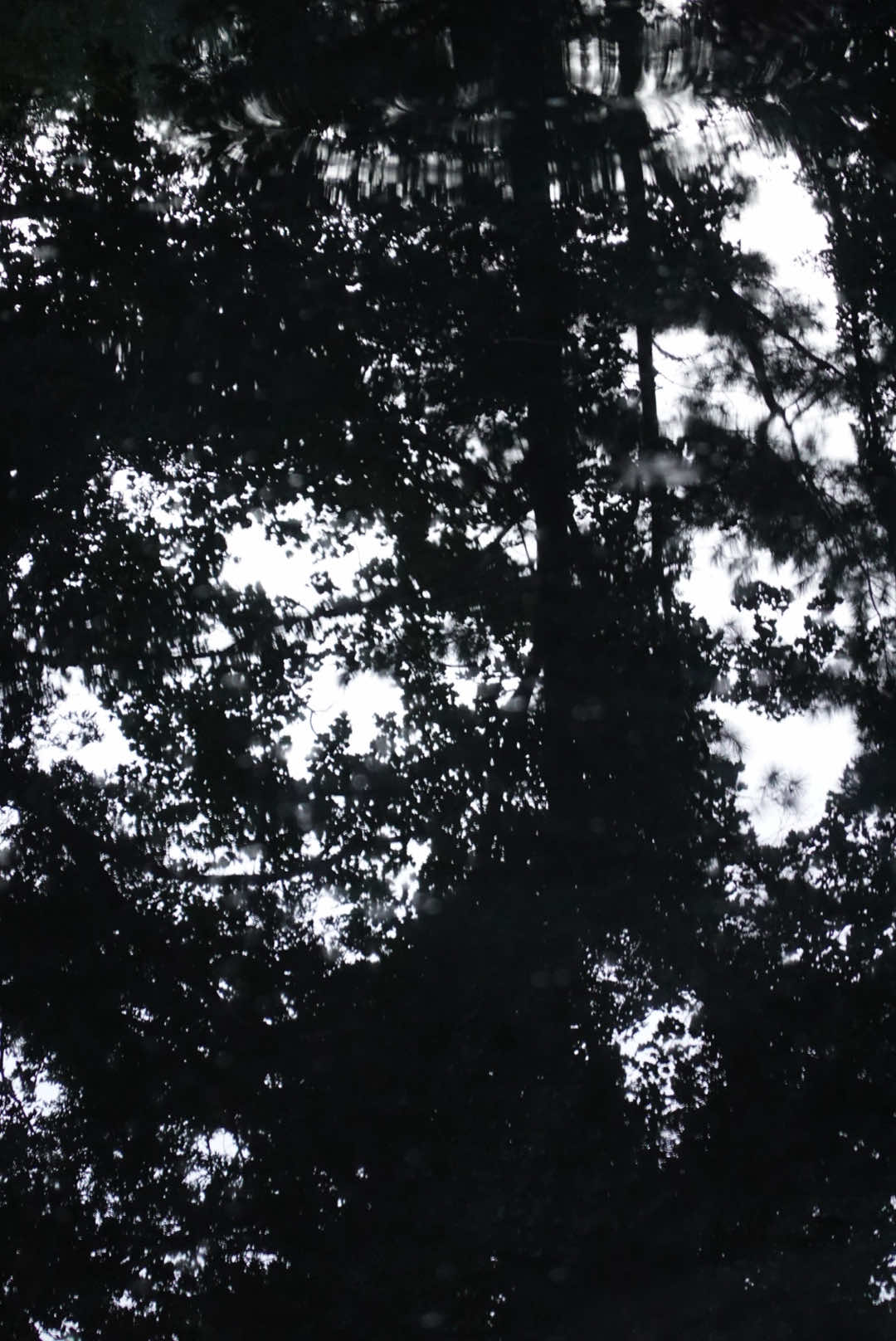 @𓆝 𓆟 𓆞