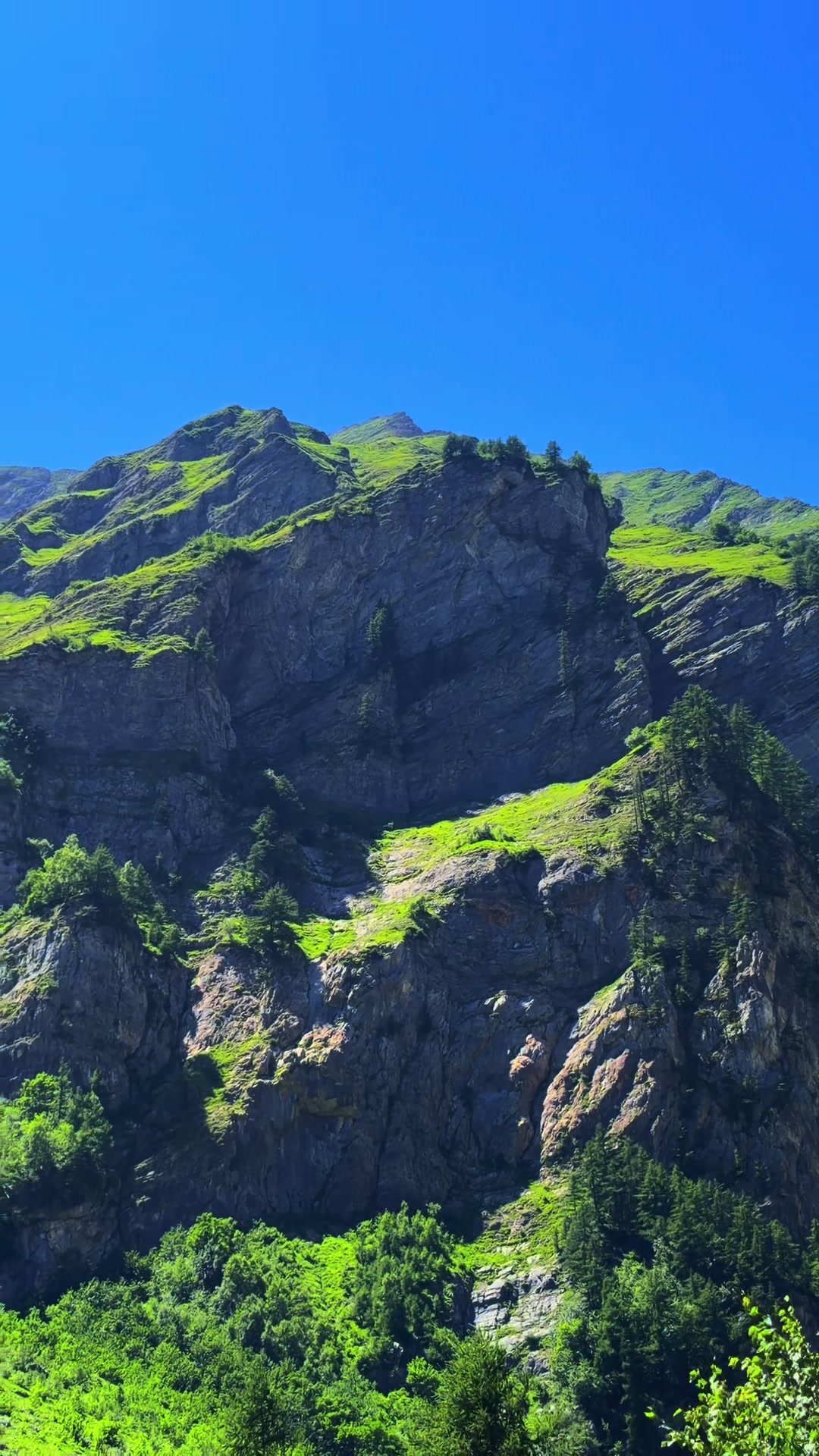 @Chasseur Montagnard