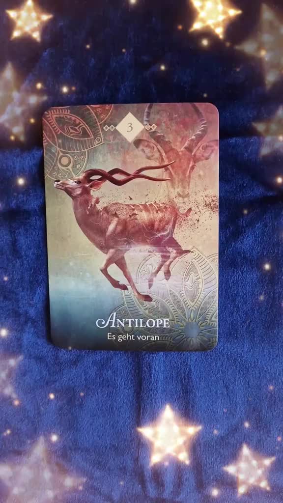 @Tarot Botschaft