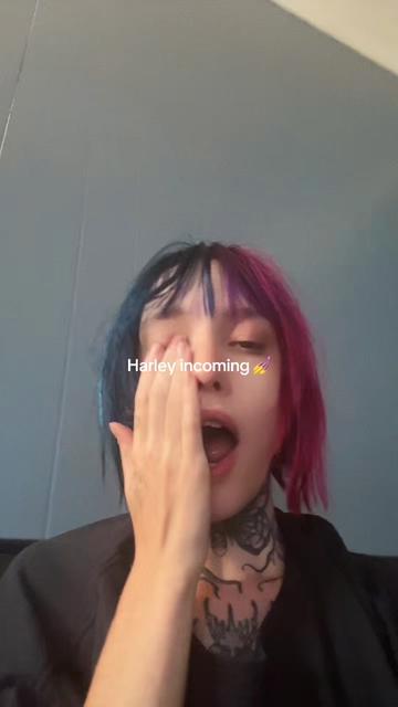 @kitty :3