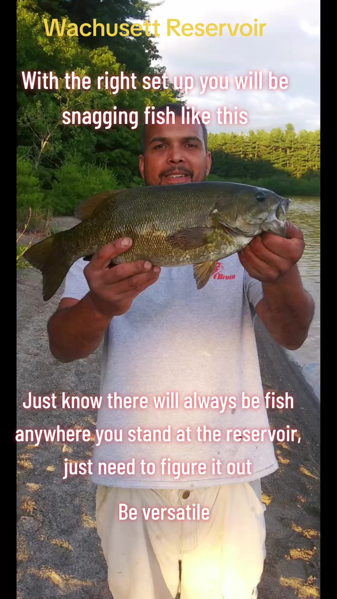 @Carlos Pagan