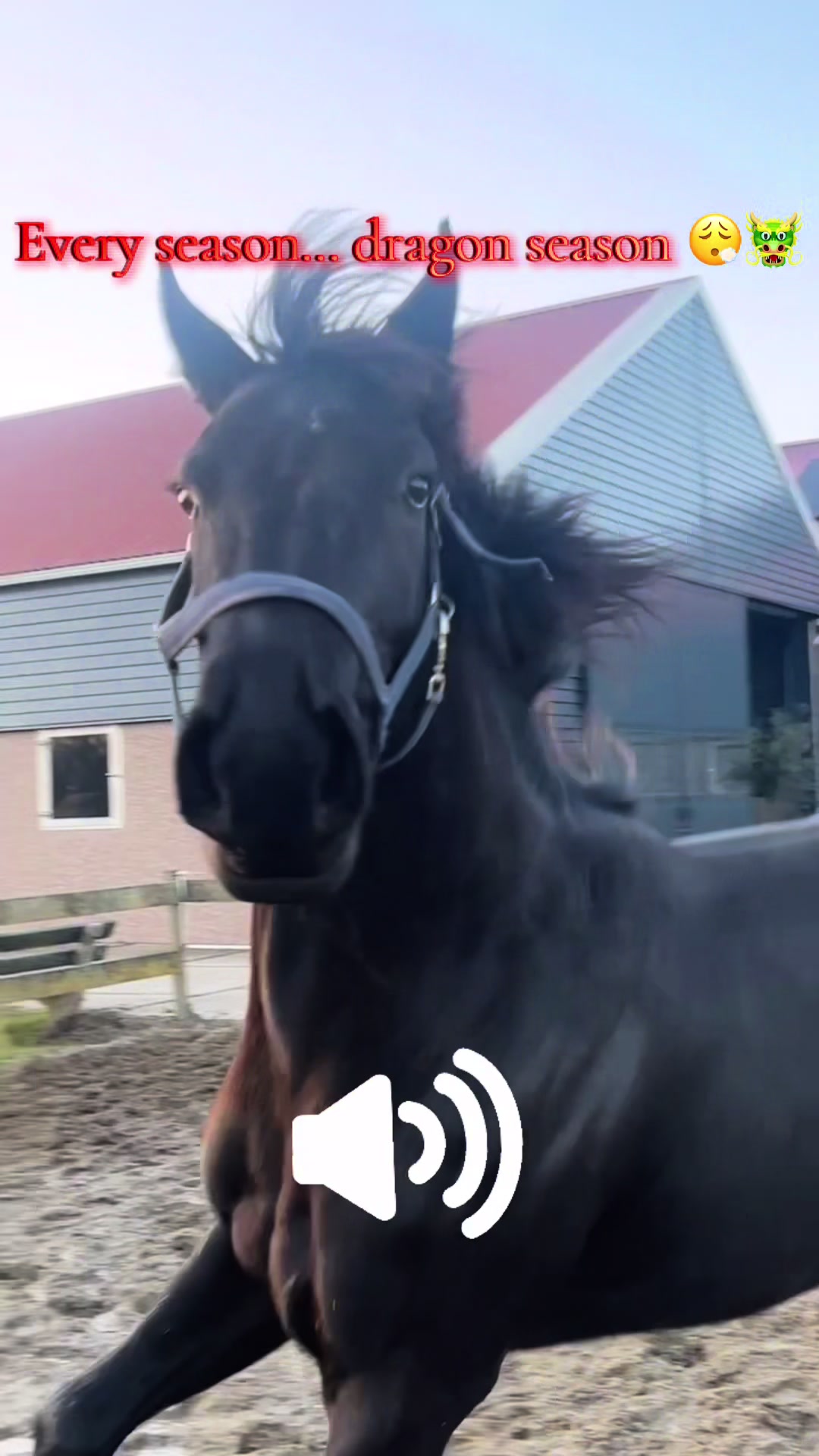 @Manege Duno