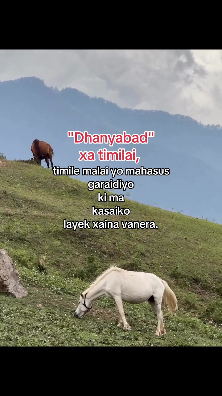 @SAMRATBELBASE