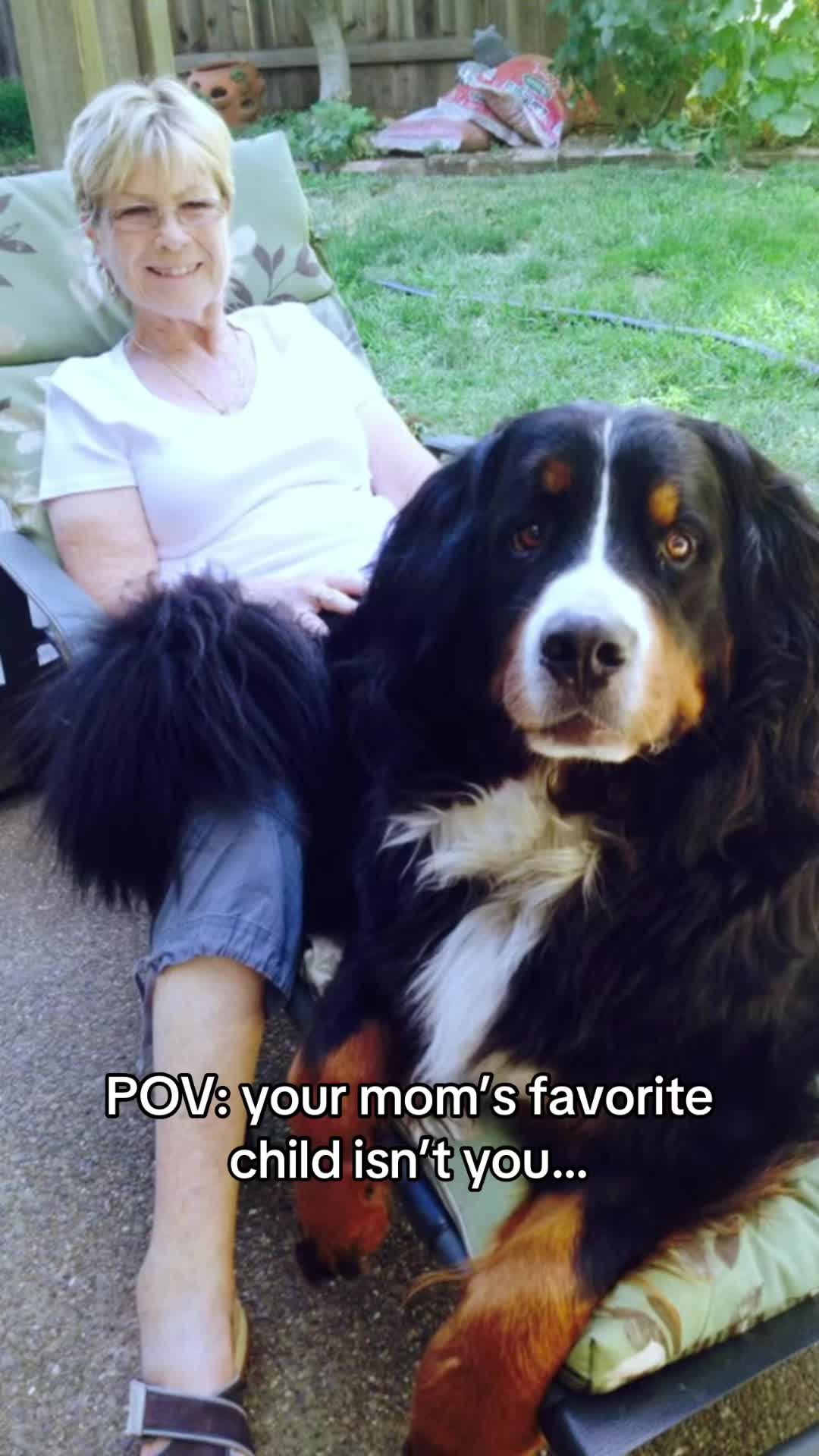 @Petworks.com