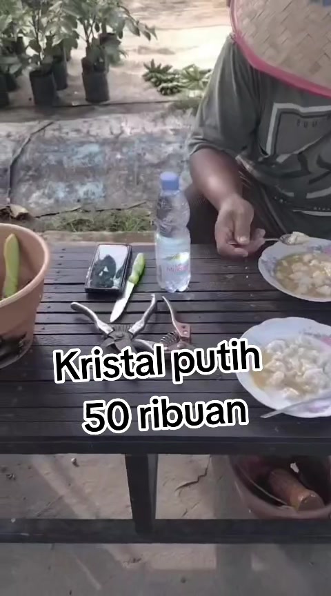 @Bibit khusus samarinda