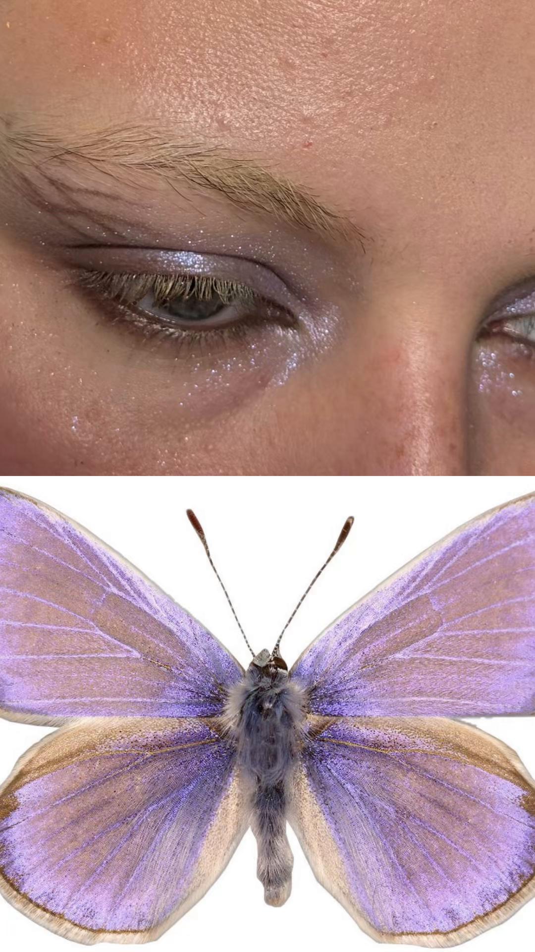 @Blackdragonfly
