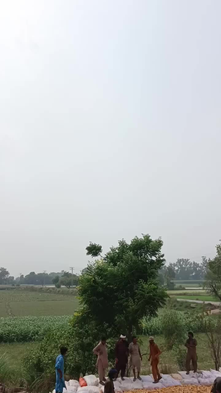 @Pakistan Kisan T.V