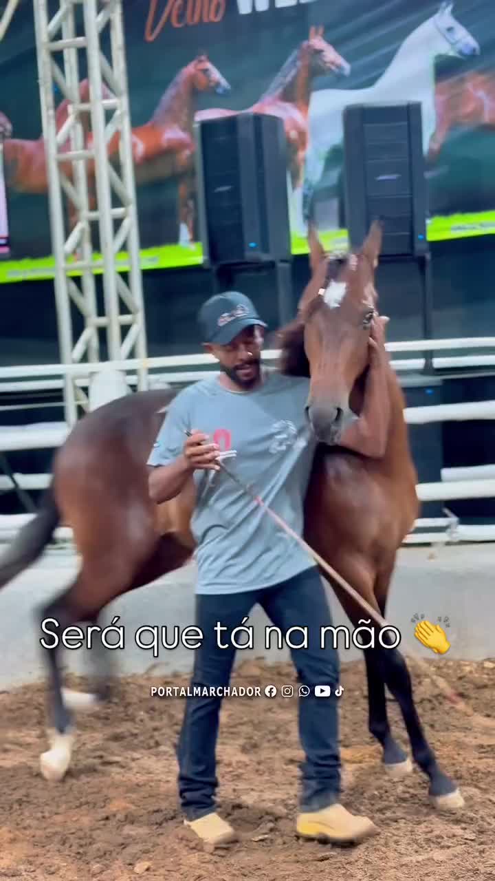 @Portal Marchador