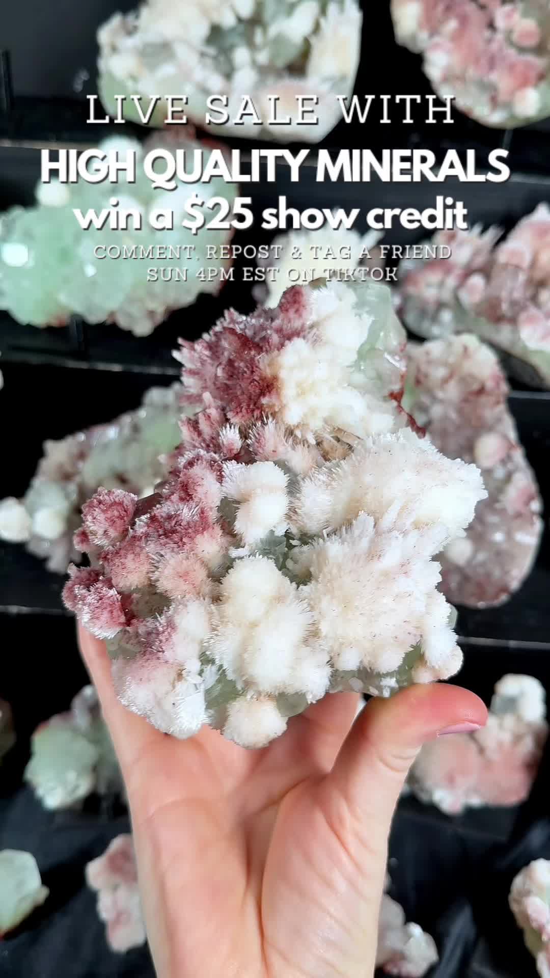 @Crystal Live Emporium✨Natalie