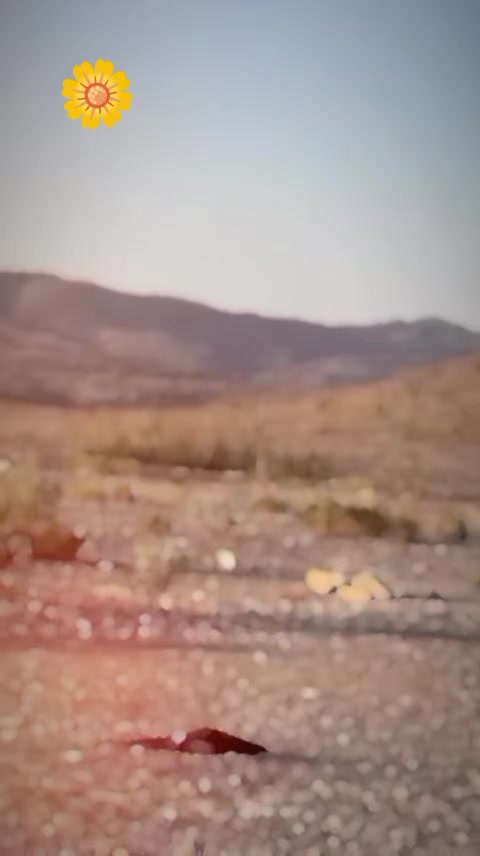 @𝗽𝗮𝗴𝗮𝗹 𝗟𝗮𝗿𝗸𝗮