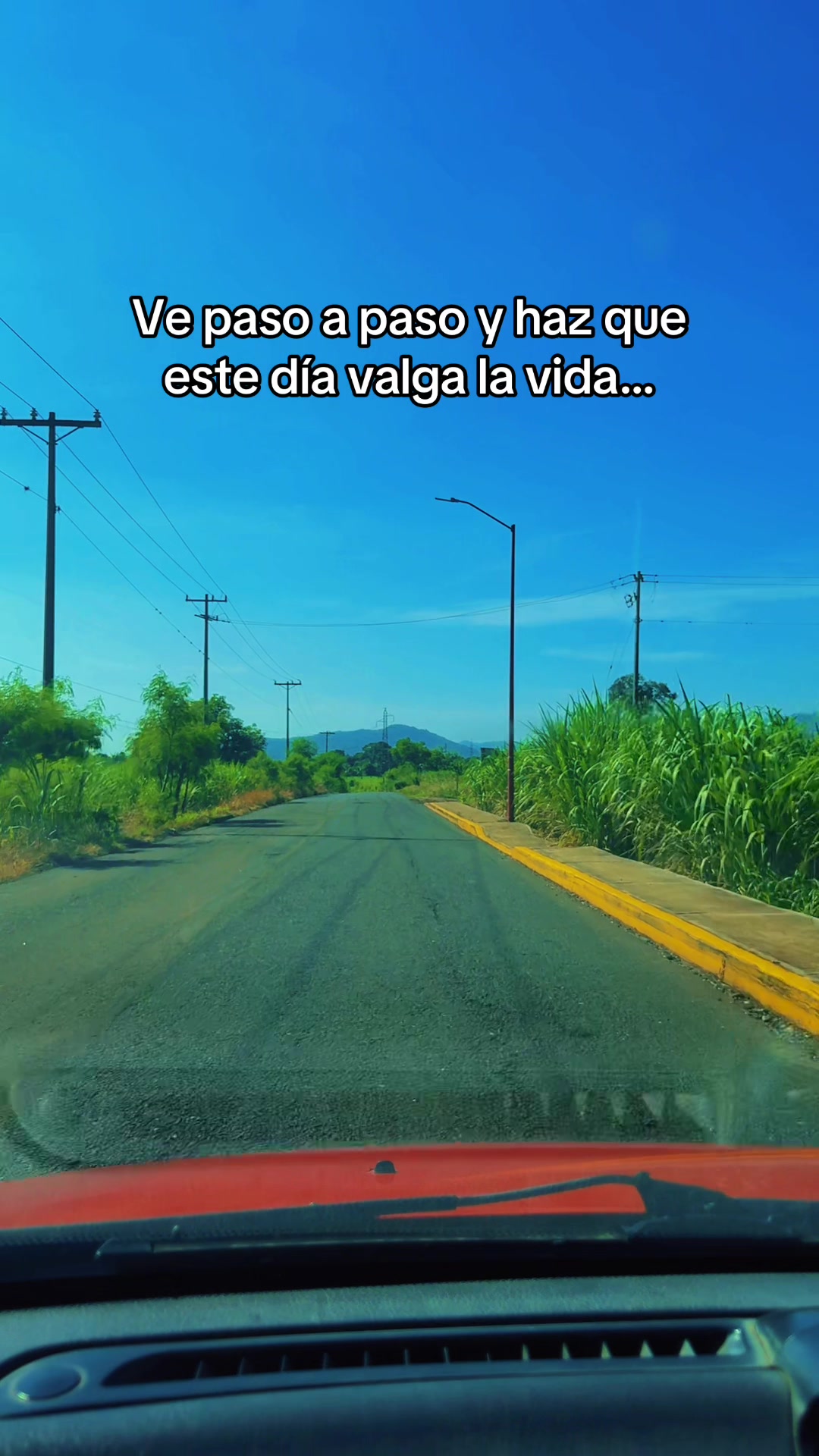 @José de Jesús Castañeda