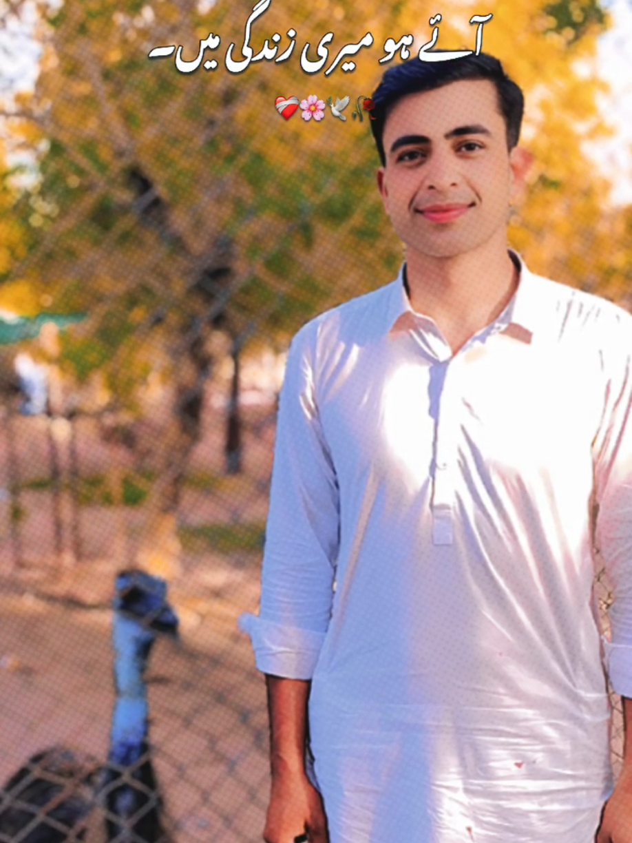 @Ans Leghari