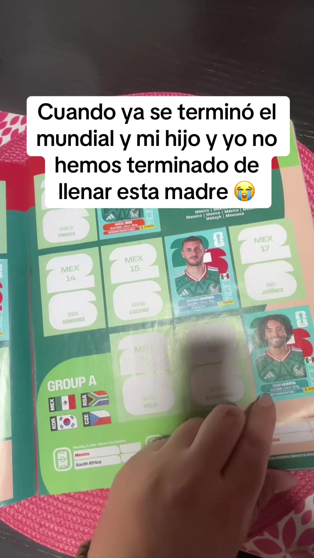 @fasoffia