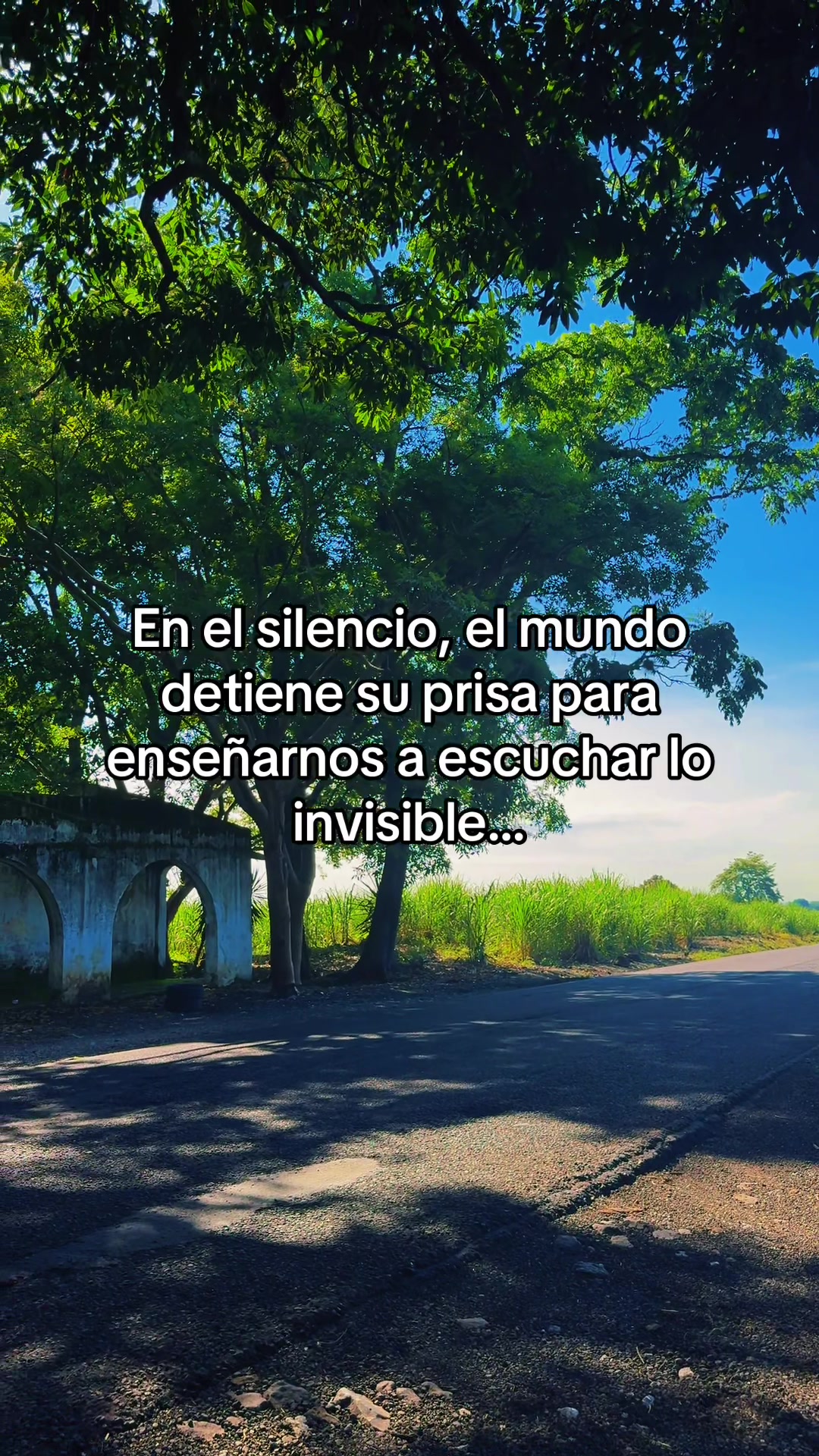 @José de Jesús Castañeda
