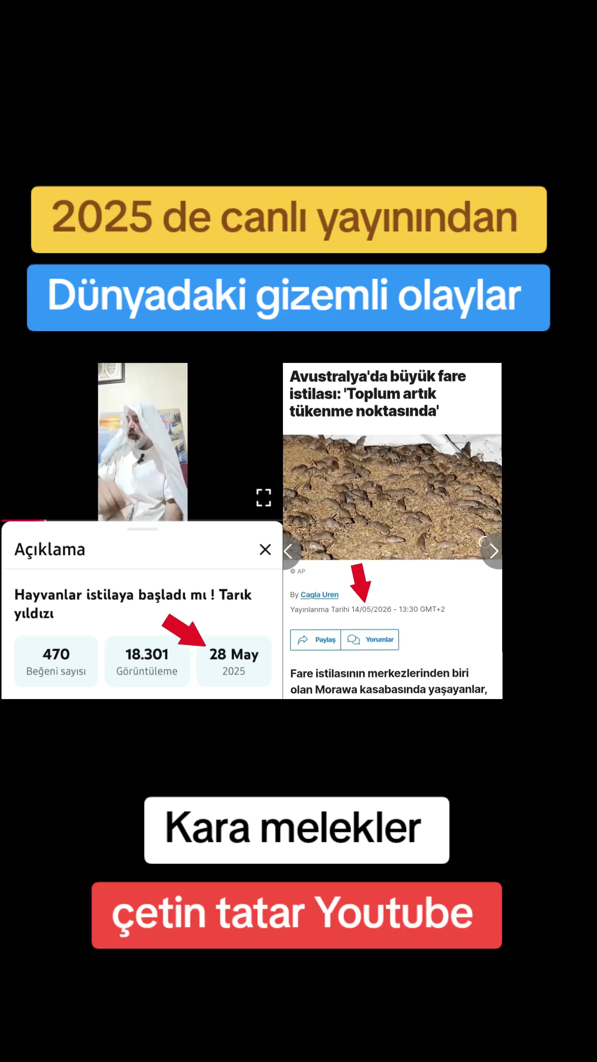 @&ccedil;etin tatar