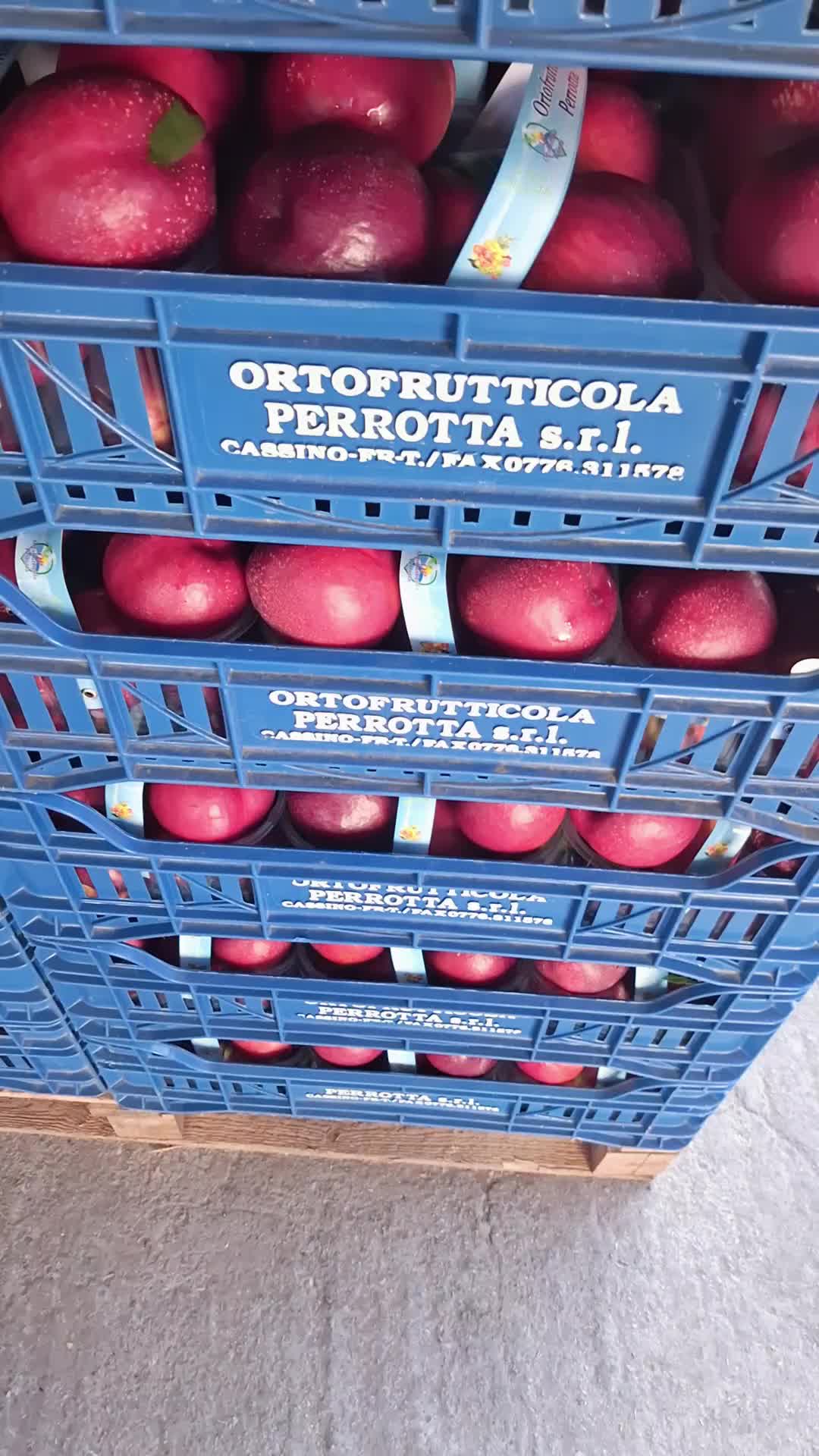 @Costantino Perrotta